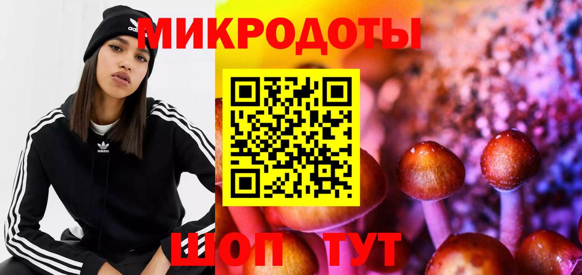 Псилоцибиновые грибы Cubensis Кингисепп
