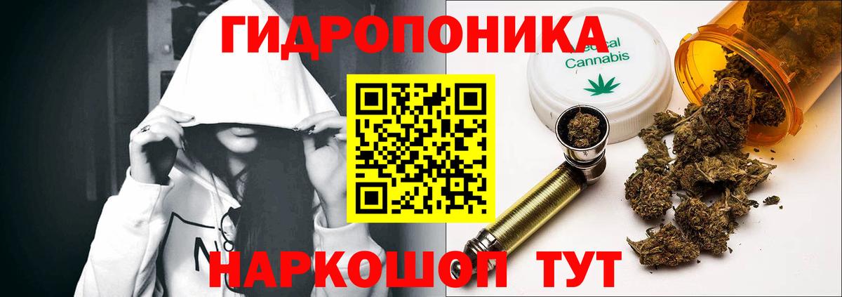 Бошки Шишки SATIVA & INDICA  МАРИХУАНА гибрид  Бошки Шишки гибрид  Кингисепп  Вход с VPN  Каннабис тримм 
